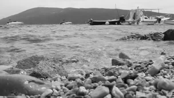 Herceg Novi Montenegro Agosto 2022 Vacaciones Playa Del Mar Paseos — Vídeo de stock
