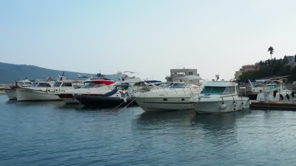 Meljine Herceg Novi Montenegro August 2022 Boats Yachts Ships Anchor — 비디오