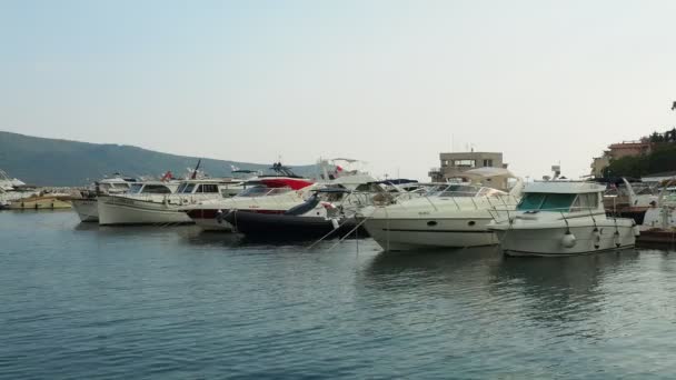 2022年8月10日モンテネグロのメルジヌ ヘルセグ ノヴィ Meljine Herceg Novi 2022年8月10日船 ヨット 船が停泊中 駐車場で係留船 — ストック動画