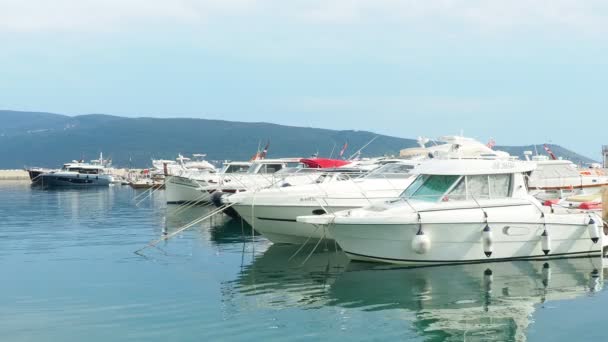 2022年8月12日 黑山的Meljine Herceg Novi号船 游艇和船舶抛锚 停靠在停车场的船只 亚得里亚海地中海 旅游业务 海上旅行和体育活动 — 图库视频影像