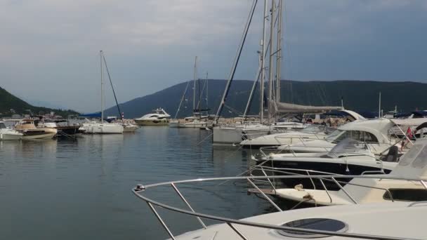 Meljine Herceg Novi Montenegro Agosto 2022 Barcos Iates Navios Estão — Vídeo de Stock