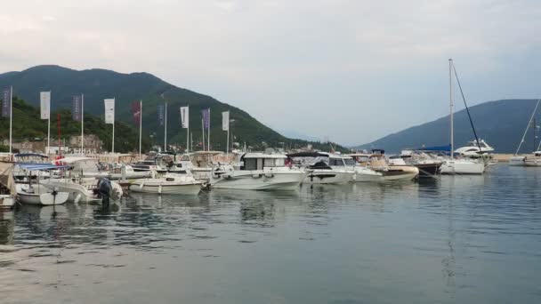Meljine Herceg Novi Чорногорія Серпня 2022 Човни Яхти Кораблі Знаходяться — стокове відео