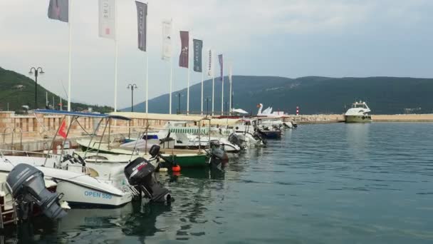 Meljine Herceg Novi Чорногорія Серпня 2022 Човни Яхти Кораблі Знаходяться — стокове відео