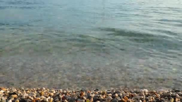 Адриатическое Море Черногория Средиземное Море Meljine Herceg Novi Спокойные Волны — стоковое видео