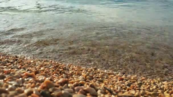 Laut Adriatik Montenegro Mediterania Meljine Herceg Novi Gelombang Tenang Air — Stok Video