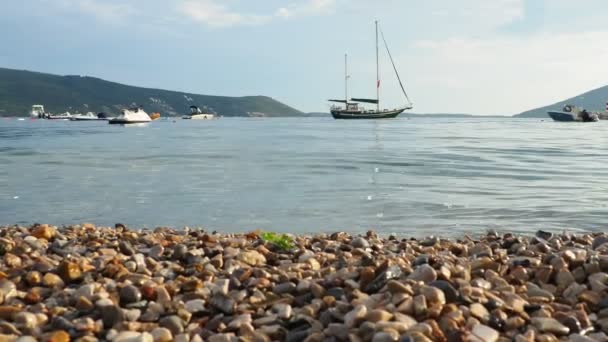 Herceg Novi Monténégro Août 2022 Vacances Mer Voyages Mer Pêche — Video