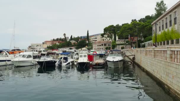 Meljine Herceg Novi Montenegró Augusztus 2022 Hajók Jachtok Hajók Horgonyoznak — Stock videók