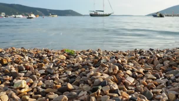 Herceg Novi Montenegro Agosto 2022 Vacanze Mare Viaggi Mare Pesca — Video Stock