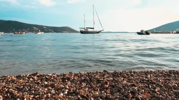 Herceg Novi Montenegro Августа 2022 Морской Отдых Пляже Морские Прогулки — стоковое видео