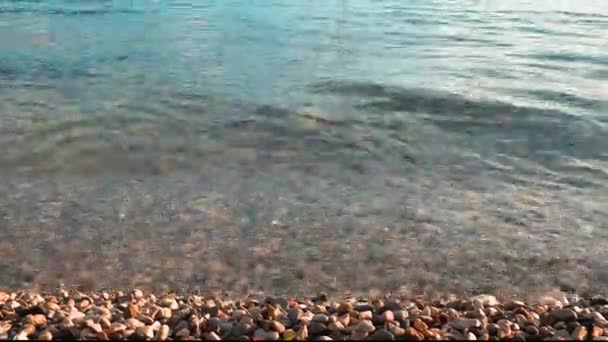 アドリア海 モンテネグロ地中海メルジンHerceg Novi 岩礁の上で塩水の穏やかな波が洗う 澄んだ水と多色の丸みを帯びた小石 ビーチ休暇 泡状の波 — ストック動画