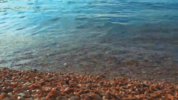 Αδριατική Θάλασσα Μαυροβούνιο Μεσογειακή Meljine Herceg Novi Ήσυχα Κύματα Αλμυρού — Αρχείο Βίντεο