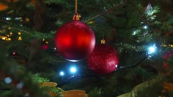 Šťastný Nový Rok Vánoční Stromeček Dekorace Červeným Skleněným Míčkem Větvi — Stock video