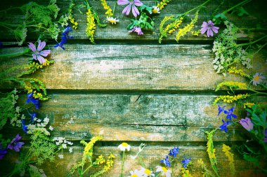 Wildflowers arranged in a circle on a wooden table background. Chamomile, sweet clover, wild geranium, bluebells, parsley inflorescences. Wooden horizontal boards. Green tone