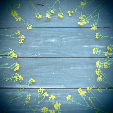 Sarı kolza çiçekleri ahşap arka planda bir çember şeklinde serilmiş. Yaban çiçekleri masanın üzerinde düzgünce düzenlenir. Kopyalama uzayı hala hayat. Metin için boş alan. Brassica napus Cabbageaceae. Tahta tepsi.