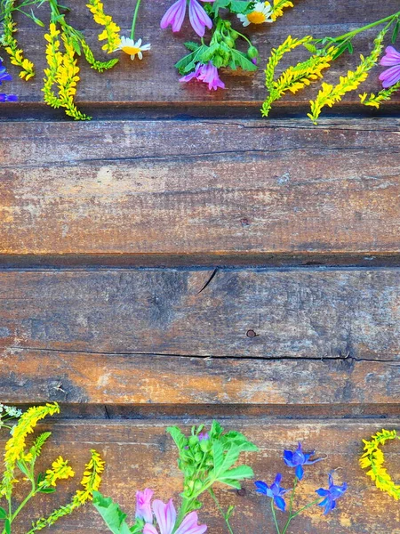 Цветные Полевые Цветы Раскладываются Кругу Деревянном Фоне Стола Ромашка Сладкий — стоковое фото