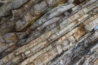 Flysch, temel olarak klasikleşmiş ve litolojik katmanların değişimiyle karakterize edilmiş bir dizi deniz tortusu kayasıdır. Balkanlar Karadağ Herceg Novi Meljine