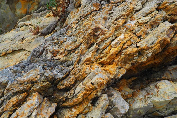 Flyschは主に起源を持つ海洋堆積岩のシリーズであり いくつかの岩層の交互によって特徴付けられる バルカン モンテネグロ Herceg Novi Meljine — ストック写真