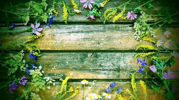 Wildflowers Arranged Circle Wooden Table Background Chamomile Sweet Clover Wild — ストック写真