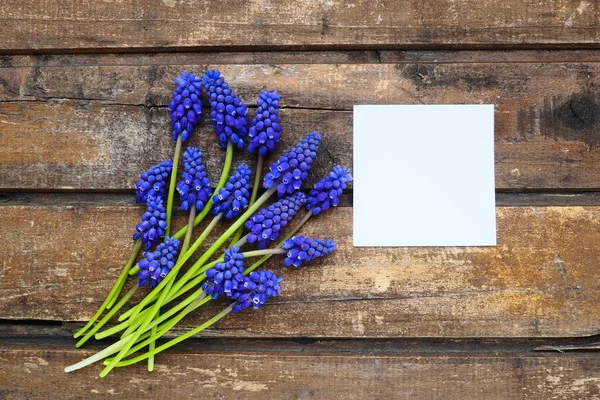 Blue Spring Flowers Wooden Background Muscari Armeniacum Table White Sheet — Φωτογραφία Αρχείου