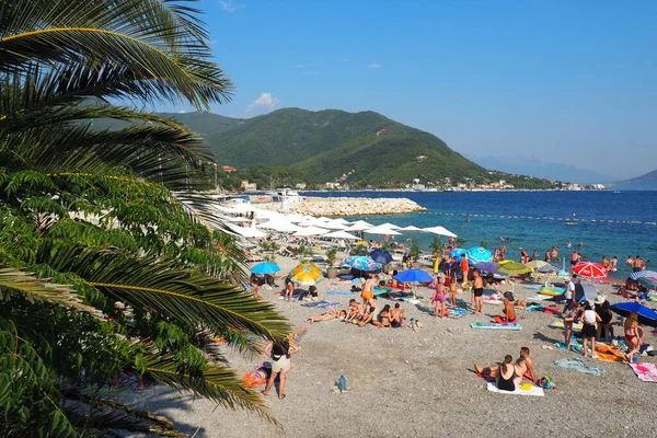 Meljine Montenegro Adria August 2022 Palmzweige Wiegen Sich Strand Urlaub — Stockfoto