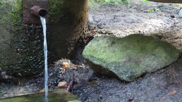 Στάζει Νερό Βουνό Ρεύμα Τάιγκα Επαναλαμβανόμενο Νερό Πέφτει Μια Ξύλινη — Αρχείο Βίντεο