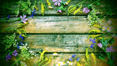 Wildflowers arranged in a circle on a wooden table background. Chamomile, sweet clover, wild geranium, bluebells, parsley inflorescences. Wooden horizontal boards. Green tone