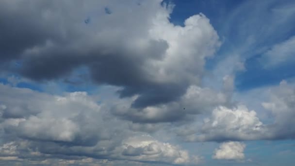 빠르게 움직이는 뭉게구름 과푸른 하늘을 배경으로 기상학 기후의 폭풍의 — 비디오