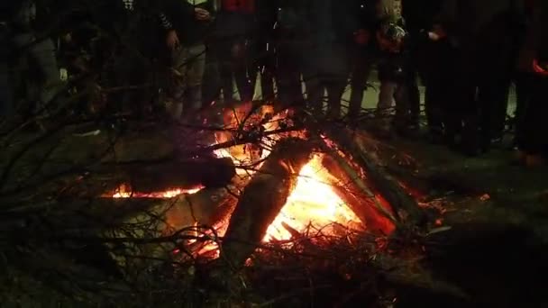 Sremska Mitrovica January 2022 Burning Sacred Oak Tree Stake Front — стокове відео