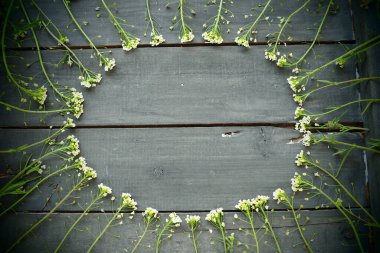 Çobanlar çiçek çantalarını ahşap arka planda ya da eski masada bir daire şeklinde dizerler. Küçük sarı kızılötesi ışınlar. çoklu uzay. Merkezde metin için boş yer var. Yeşil tonlama. Karanlık ağlar örüyor