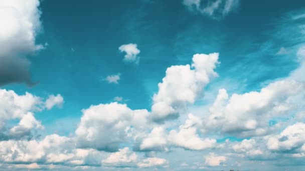 青い空に対して時間経過積雲 円状の状態と層状のSc雲 雲の動きは低く 速くなります 天気予報 気候の変化 嵐風のタイムラプス — ストック動画