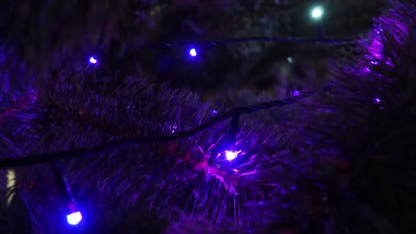 Choinka Niebieskimi Fioletowymi Girlandami Żarówki Gałęziach Świerku Oświetlenie Elektryczne Uroczyste — Wideo stockowe