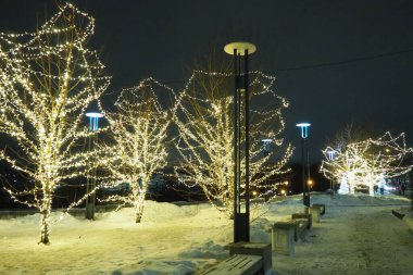 New Year or Christmas city night street. Snowdrifts. Tree lighting design. Winding garlands of the trunk and branches. LED Christmas decorations. Garlands - spider and clip light. Electric lighting.