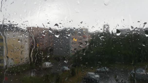 비오는 유리창에 빗방울 위에서 떨어진다 흐릿하다 날씨가 좋았어 기상학 — 비디오