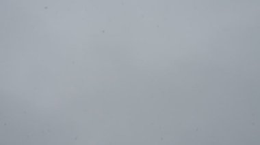Falling large white snowflakes against the background of moving gray clouds. Flying snow flakes in cloudy weather. Shooting from the bottom up. Snowflakes fall on camera. Increased humidity. Weather