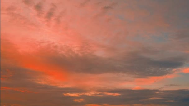 가지면서 분홍빛으로 회색빛을 회오리바람 뭉게구름 측면에서 발합니다 지남에 풍경이 비디오로 — 비디오