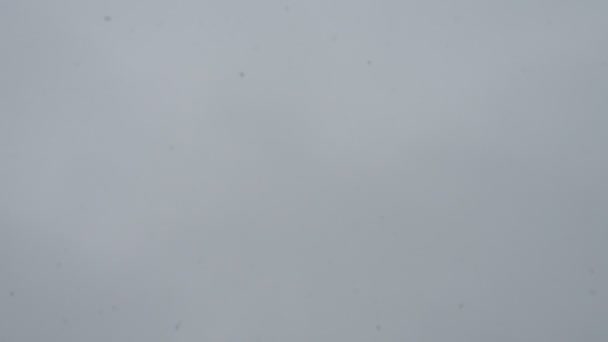 Падающие Большие Белые Снежинки Фоне Движущихся Серых Облаков Летят Снежинки — стоковое видео