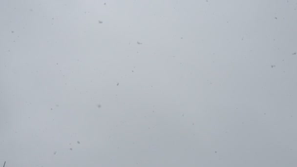 Падающие Большие Белые Снежинки Фоне Движущихся Серых Облаков Летят Снежинки — стоковое видео
