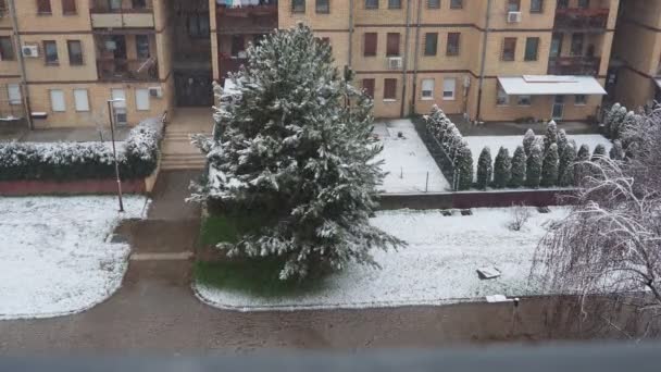 Sremska Mitrovica Serbia January 2023 Snowfall City Large White Snowflakes — Vídeos de Stock