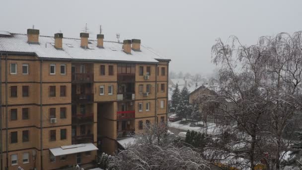 Sremska Mitrovica Serbia January 2023 Snowfall City Large White Snowflakes — Stockvideo