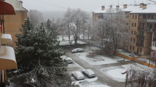 Sremska Mitrovica Service January 2023年1月20日閲覧 市内の降雪 大きな白い雪片が曇り空から降ってくる バルカン半島の天気予報 建物や木々が雪で覆われています — ストック動画
