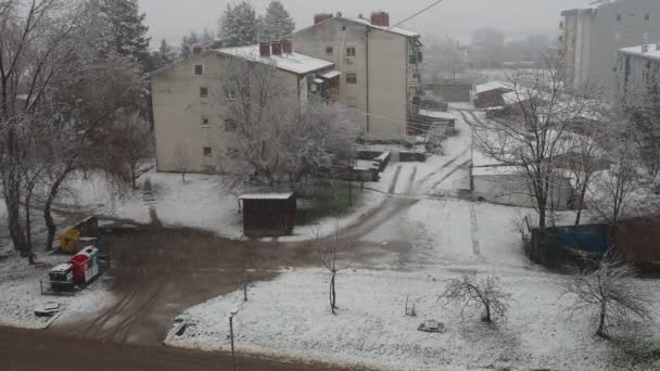 Sremska Mitrovica Serbia January 2023 Snowfall City Large White Snowflakes — Video Stock