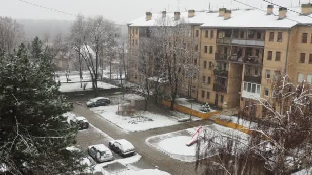 Sremska Mitrovica Serbia January 2023 Snowfall City Large White Snowflakes — Vídeo de Stock