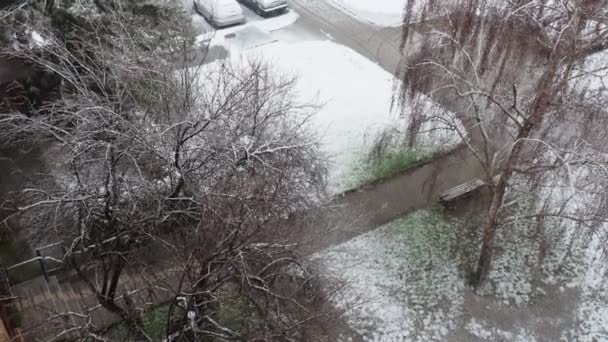 Sremska Mitrovica Serbia January 2023 Snowfall City Large White Snowflakes — Stock video
