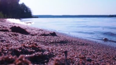 Calm waves roll over the sandy shore. Water movement. Tourist paradise.  Golden hour, sunset. Recreational area. The effect of the old film. Bushes on the coast. Horizon, backlight