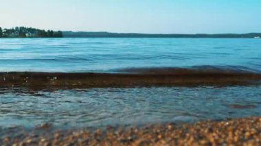 Calm waves roll over the sandy shore. Water movement. Tourist paradise.  Karelia, Salmon lake in July in the evening. Golden hour, sunset. The coast of Lake Lososinnoye natural and recreational area.
