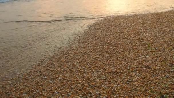 Песчаном Берегу Катятся Спокойные Волны Закат Море Океане Движение Воды — стоковое видео