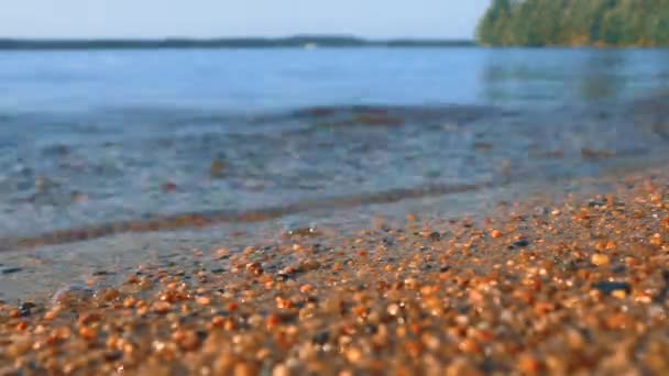 Calm Waves Roll Sandy Shore Water Movement Tourist Paradise Karelia — ストック動画