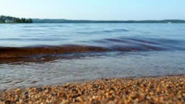 Calm waves roll over the sandy shore. Water movement. Tourist paradise.  Karelia, Salmon lake in July in the evening. Golden hour, sunset. The coast of Lake Lososinnoye natural and recreational area.