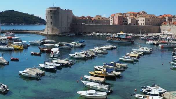 Dubrovnik Croazia 2022 Città Porto Estivo Attrazione Turistica Turisti Camminano — Video Stock