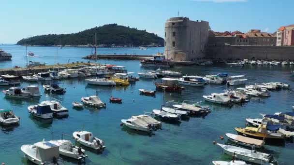 Dubrovnik Kroatien 2022 Stadshamn Sommar Turistattraktion Turister Komma Båtar Och — Stockvideo